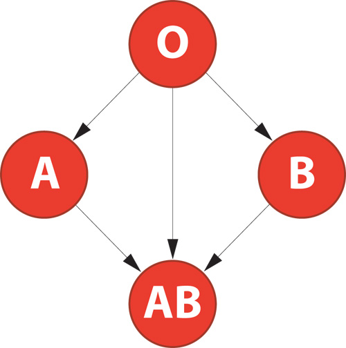 ABO compatibility rule