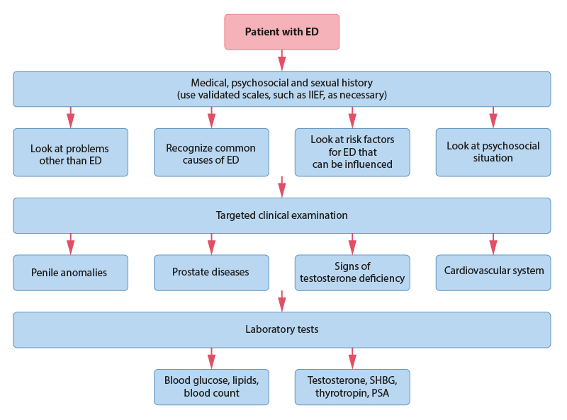 Algorithm for examination of patients with ED
